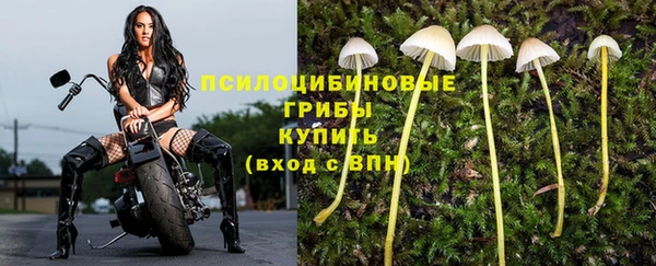 каннабис Алексин