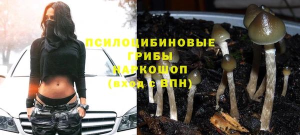 метадон Пересвет