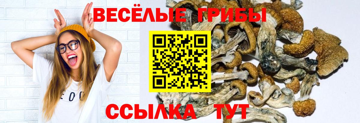 Псилоцибиновые грибы GOLDEN TEACHER  купить  сайты  Моздок  Вход с VPN 